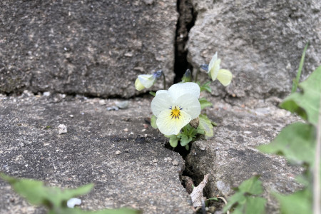 Díky za trochu místa k životu