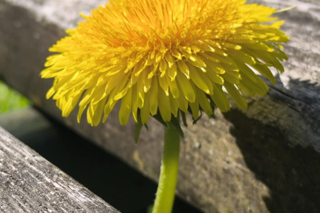 VŠECHNO NAJDE SI SVOU CESTU...