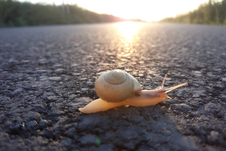 Každý si najde cestu...