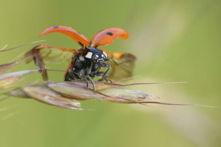 Vzhůru k výšinám !