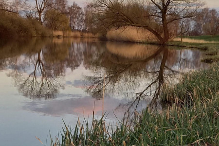 MATKA PŘÍRODA ČARUJE